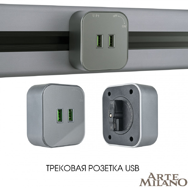 Трековая розетка Am-track-sockets 380022TS/USBx2 Grey
