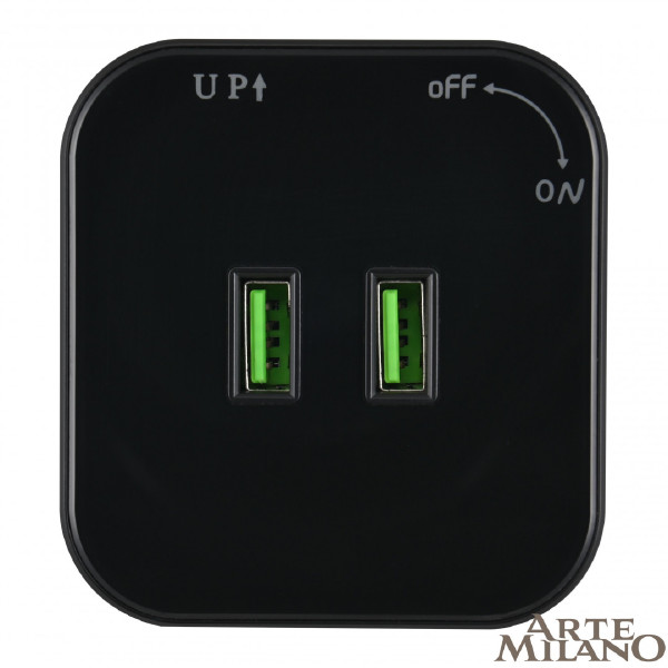 Трековая розетка Am-track-sockets 380022TS/USBx2 Black