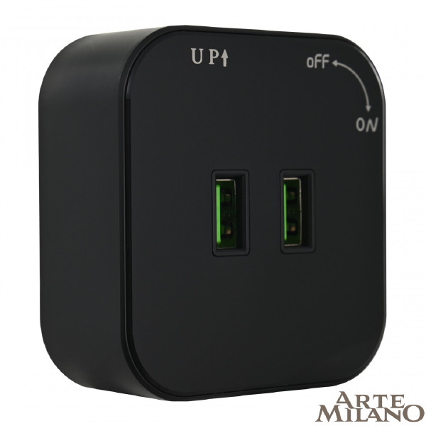 Трековая розетка Am-track-sockets 380022TS/USBx2 Black