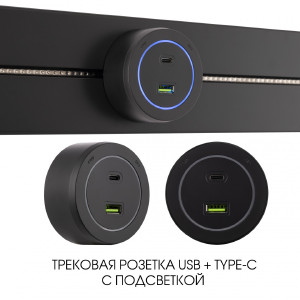 Трековая розетка Am-track-sockets-39 399731TS/USB-Type-C Black
