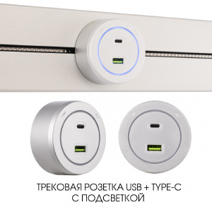 Трековая розетка Am-track-sockets-39 399731TS/USB-Type-C Silver