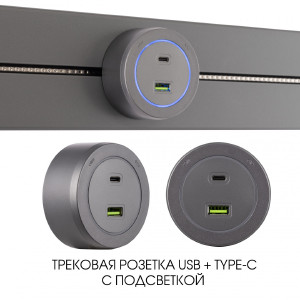 Трековая розетка Am-track-sockets-39 399731TS/USB-Type-C Grey