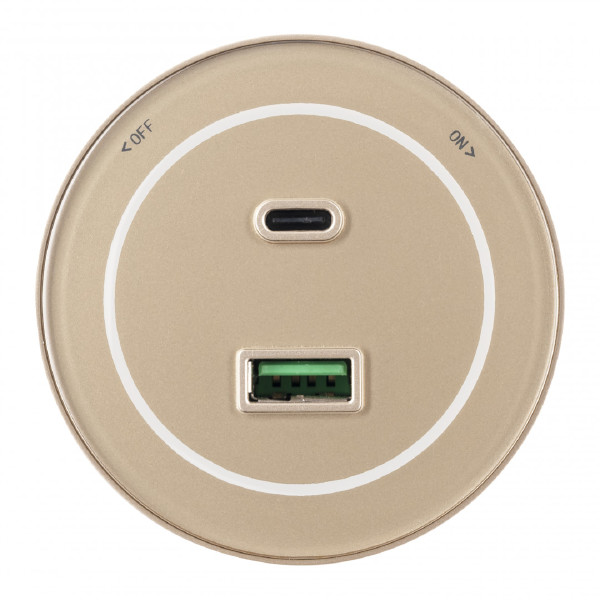 Трековая розетка Am-track-sockets-39 399732TS/USB-Type-C Gold