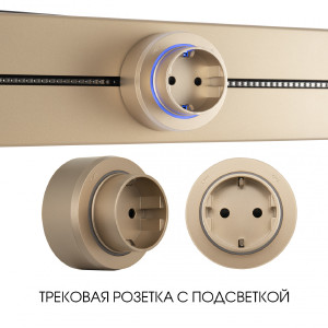 Трековая розетка Am-track-sockets-39 397951TS/ES Gold