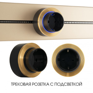 Трековая розетка Am-track-sockets-39 397952TS/ES Gold