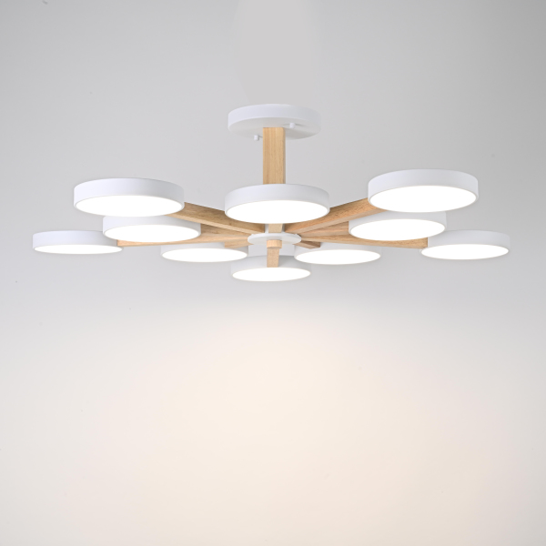 Потолочная люстра Turna-B01 228850-26
