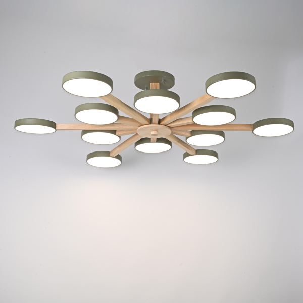 Потолочная люстра Turna-B01 228863-26