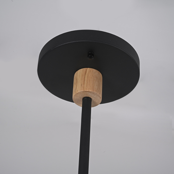 Люстра на штанге Turna-Dbl01 229086-26