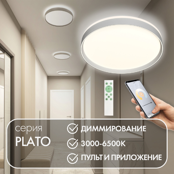 Светильник потолочный Plato DK6511-WH/1