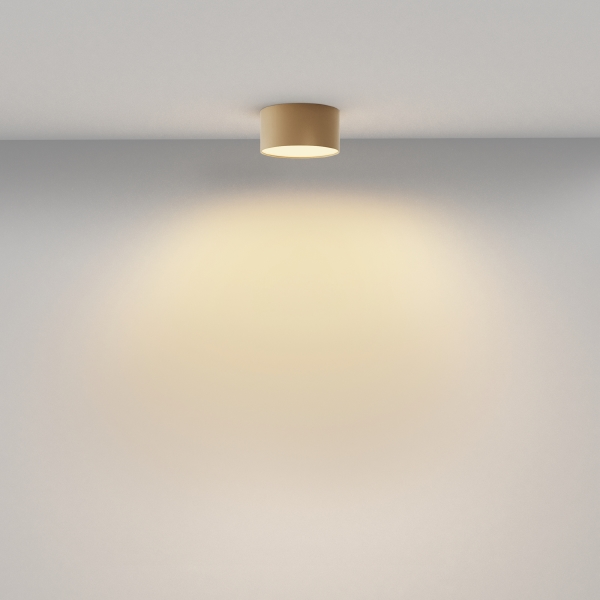 Светильник потолочный Zon C032CL-12W2.7K-RD-MG