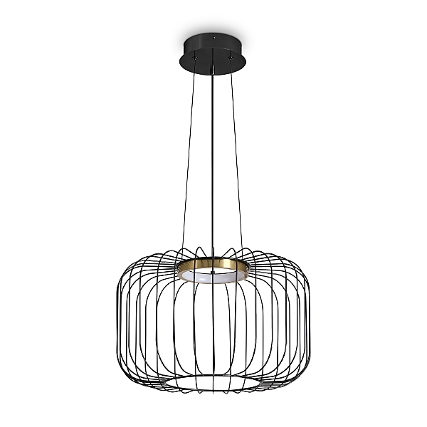 Светильник подвесной Citrus FR5398PL-L8B