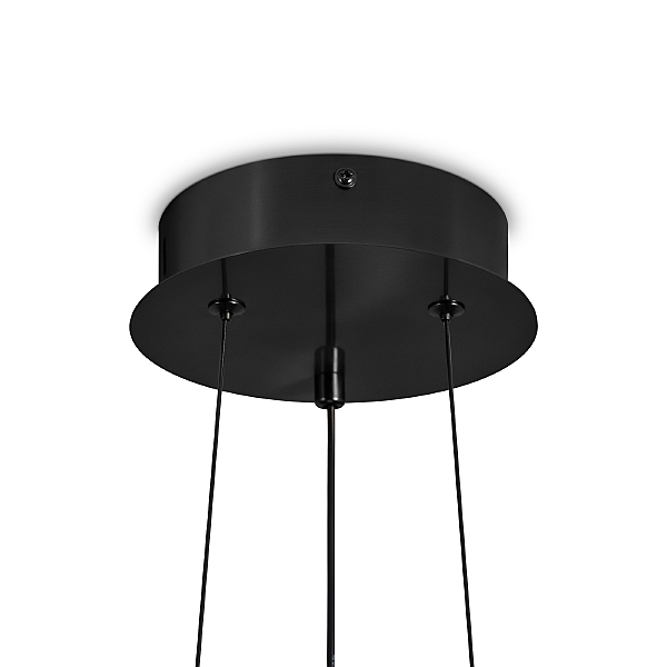 Светильник подвесной Citrus FR5398PL-L8B
