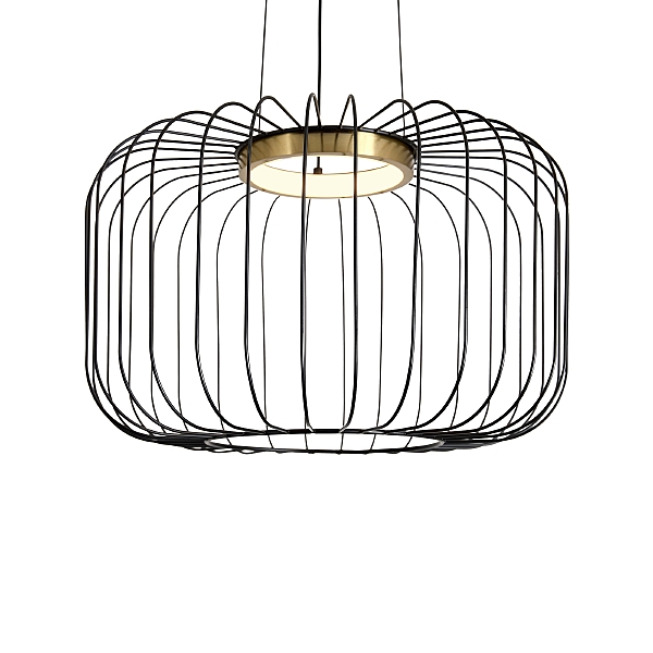 Светильник подвесной Citrus FR5398PL-L8B