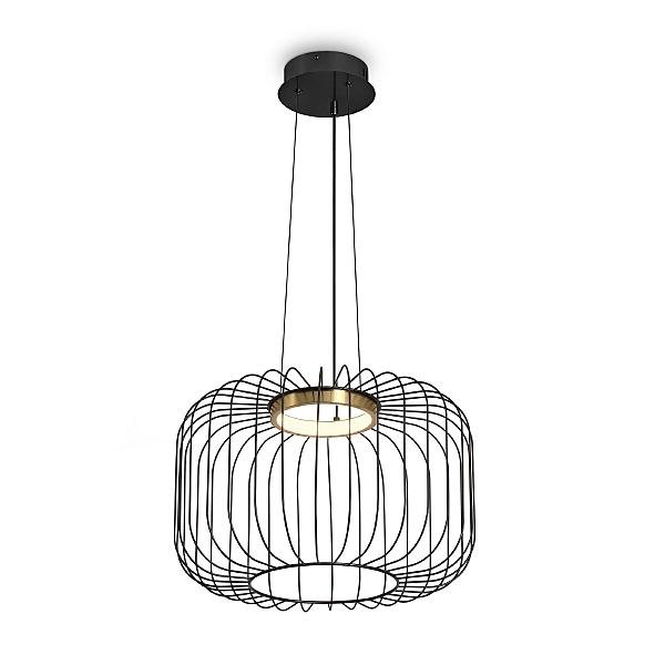 Светильник подвесной Citrus FR5398PL-L8B