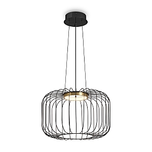 Светильник подвесной Citrus FR5398PL-L8B