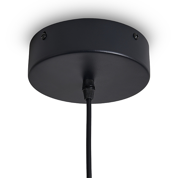 Светильник подвесной True FR6181PL-L16B