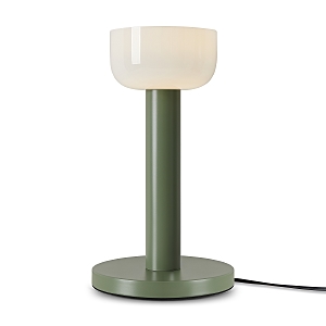 Настольная лампа Barries FR6185TL-L5GN