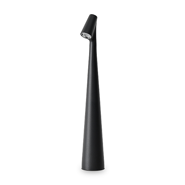 Настольная лампа Clam FR6188TL-L3B