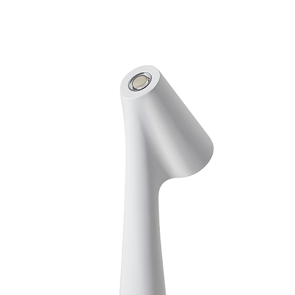 Настольная лампа Clam FR6188TL-L3W