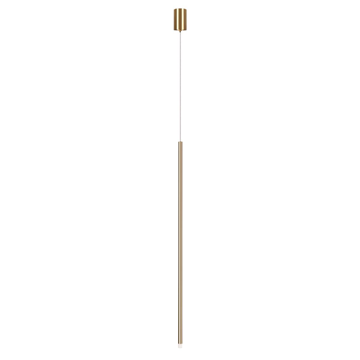 Reed