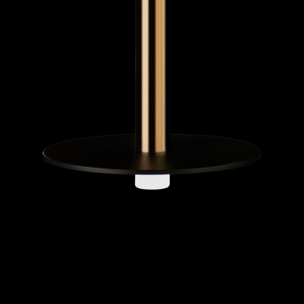 Светильник подвесной Reed 10358/830 Disk AB