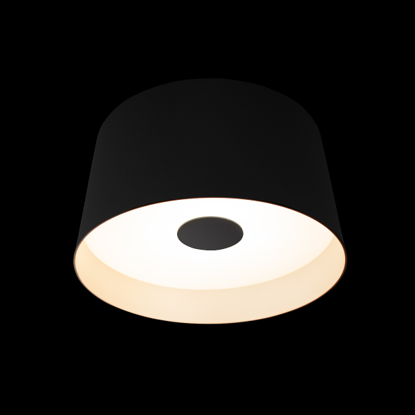 Светильник потолочный Duo 10360S Black