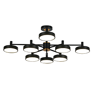 Потолочная люстра Siri 10211/8LED