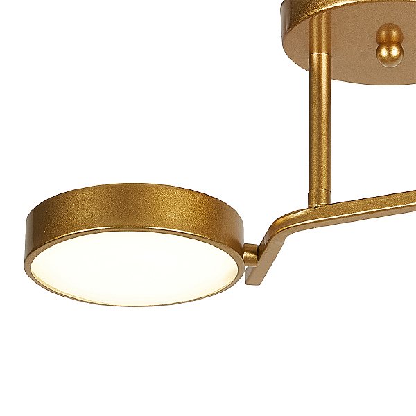 Потолочная люстра Starlight 10273/2LED
