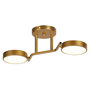 Потолочная люстра Starlight 10273/2LED