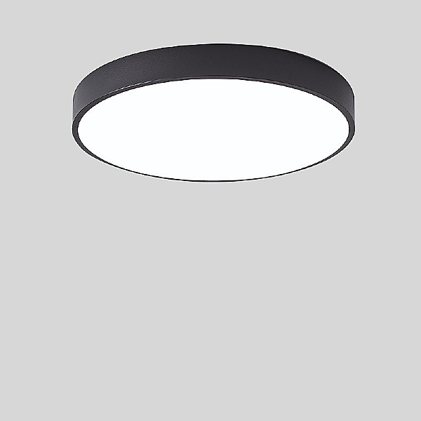 Светильник потолочный Union Union P2 12