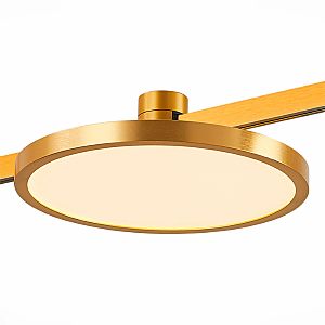 Трековый светильник Farm ST818.246.12