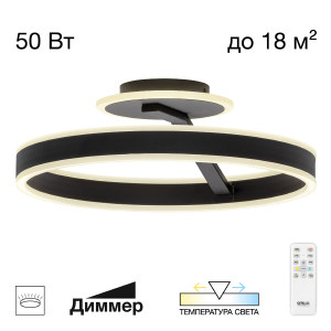 Светильник потолочный Дуэт CL719741