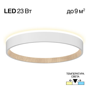 Светильник потолочный Etalon CL750240