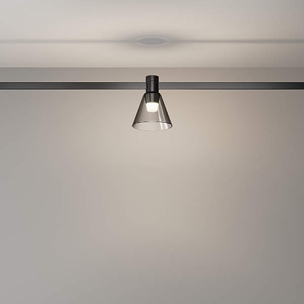 Трековый светильник Bianca TR147-1-3W4K-B