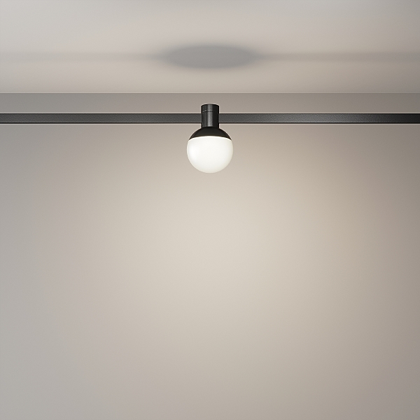 Трековый светильник Luna TR149-1-5W4K-B