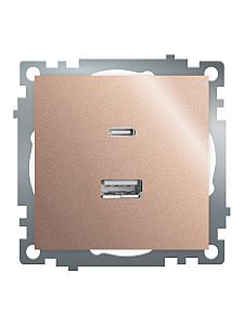 Розетка GLS10-7116-02 50056