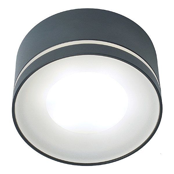 Накладной светильник HL457 51347