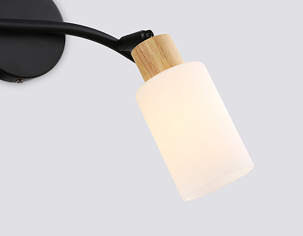Светильник спот Loft TR8721