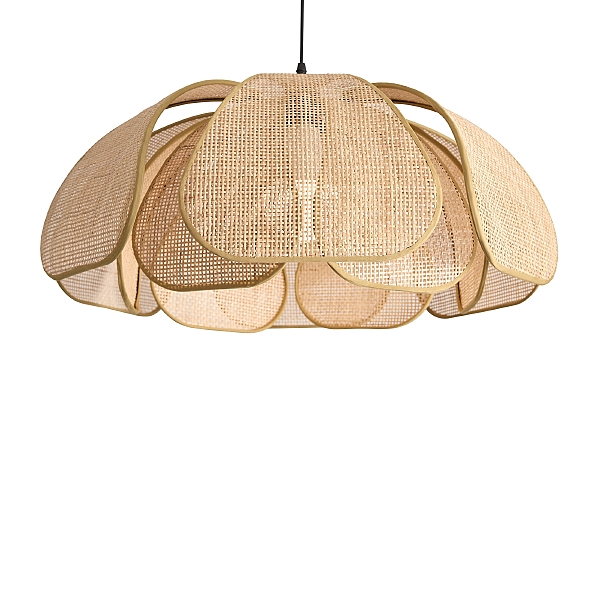 Светильник подвесной Cocoon FR5529PL-01B