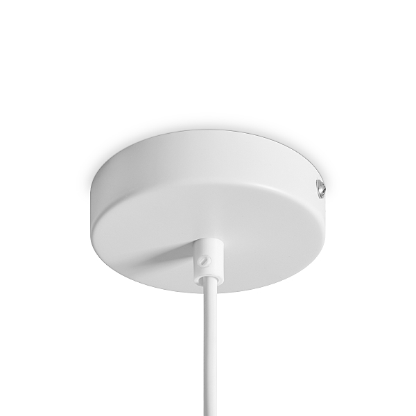 Светильник подвесной Shapes FR5530PL-L10W