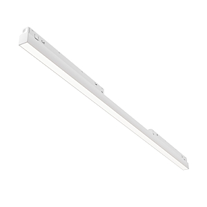 Трековый светильник Basis TR030-4-30WTW-DD2-W