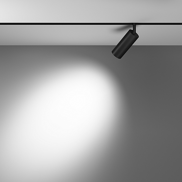 Трековый светильник Focus LED TR032-4-12WTW-M-DD2-B