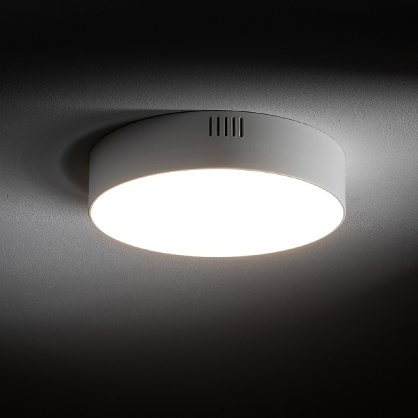 Светильник потолочный Lid Round Led 10412