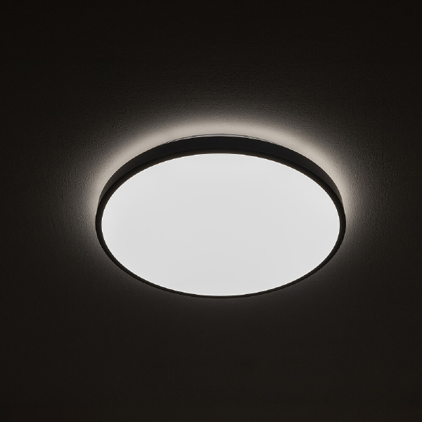 Светильник потолочный Agnes Round Led Pro 10971