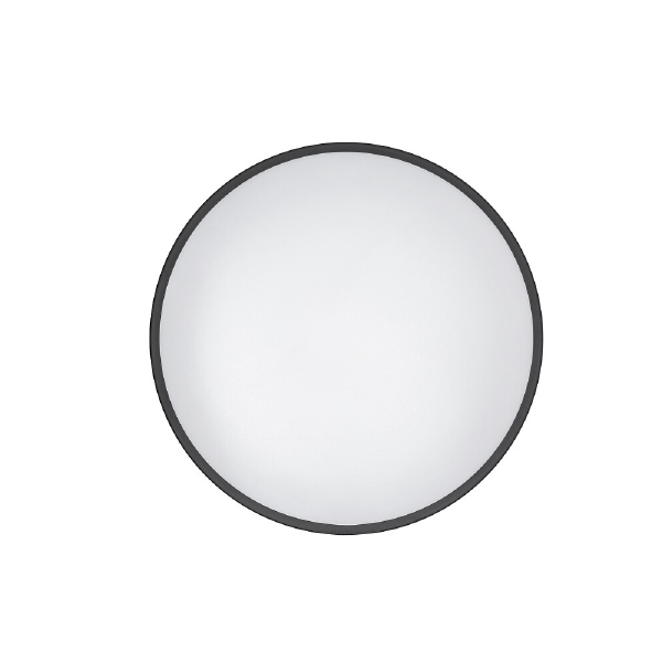 Светильник потолочный Agnes Round Led Pro 10971