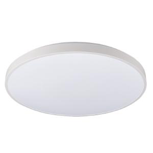 Светильник потолочный Agnes Round Led Pro 10980