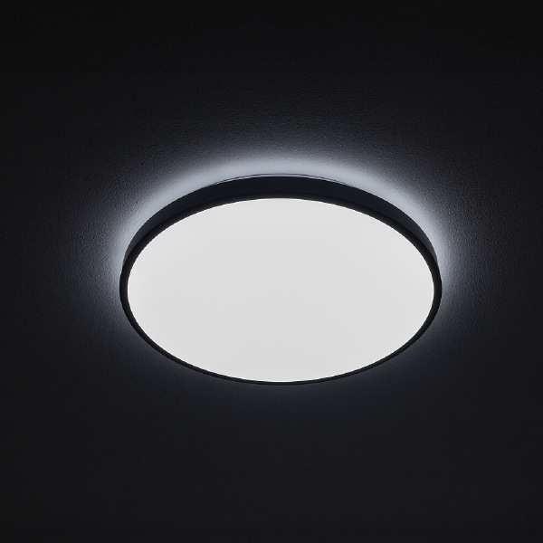 Светильник потолочный Agnes Round Led Pro 10972