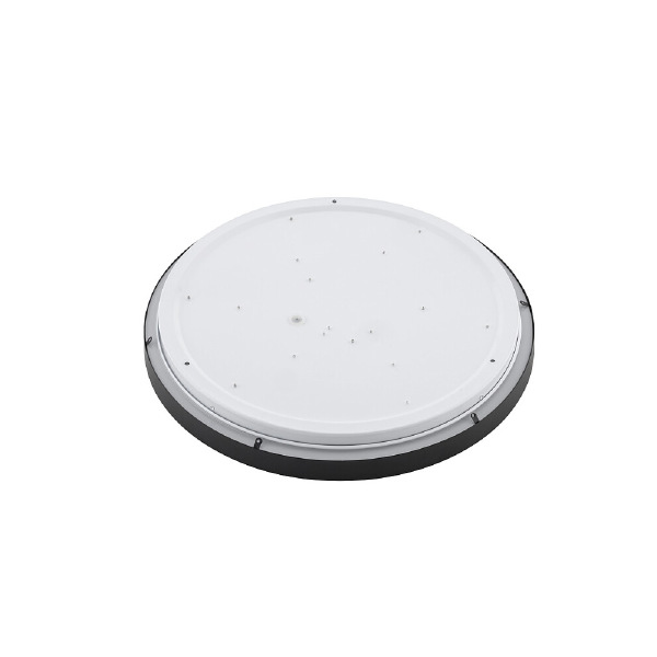 Светильник потолочный Agnes Round Led Pro 10972