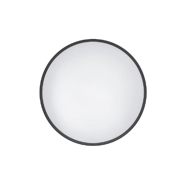 Светильник потолочный Agnes Round Led Pro 10972