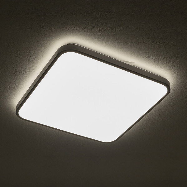 Светильник потолочный Agnes Square Led Pro 10991